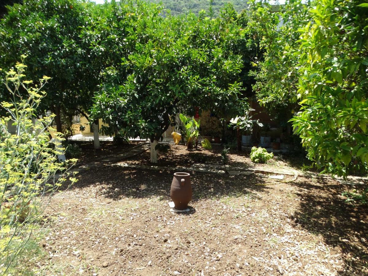 The Grapevine Rooms Poros  Екстериор снимка